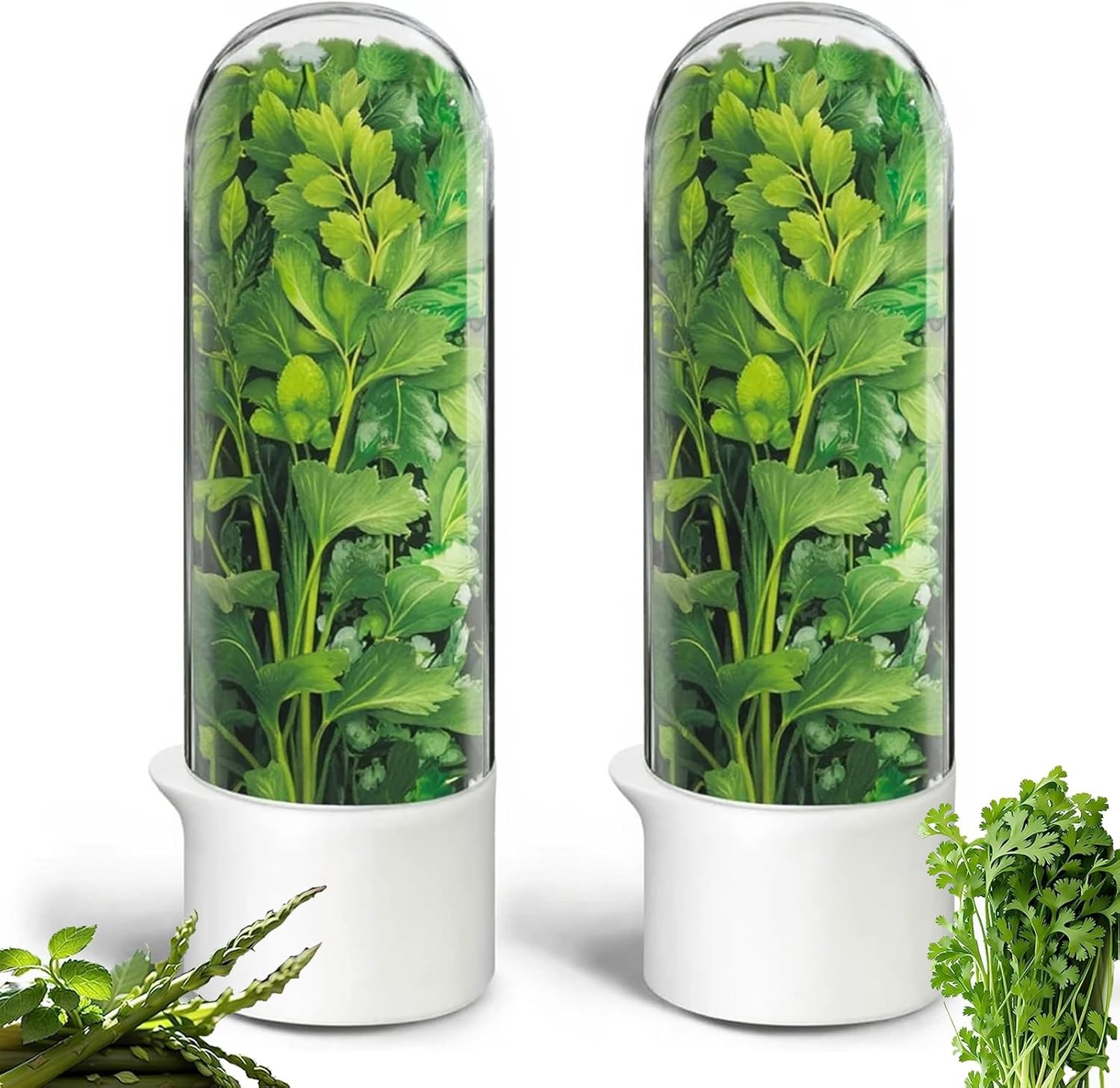 Herb Saver, Herb Keeper for Refrigerator, Cilantro Container for Fridge, Fresh