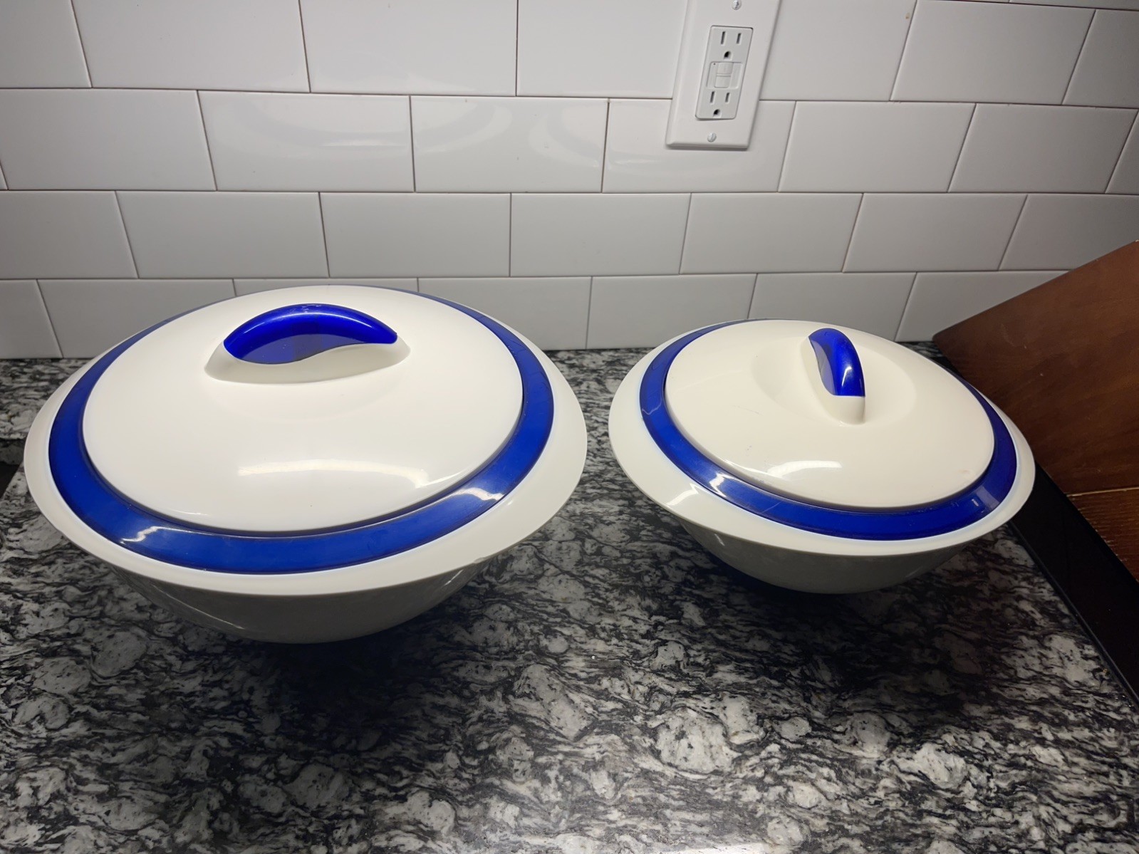 Pinnacle Tokyo Thermo Insulated Food Container Blue & White Pre-Owned Lot Of 2