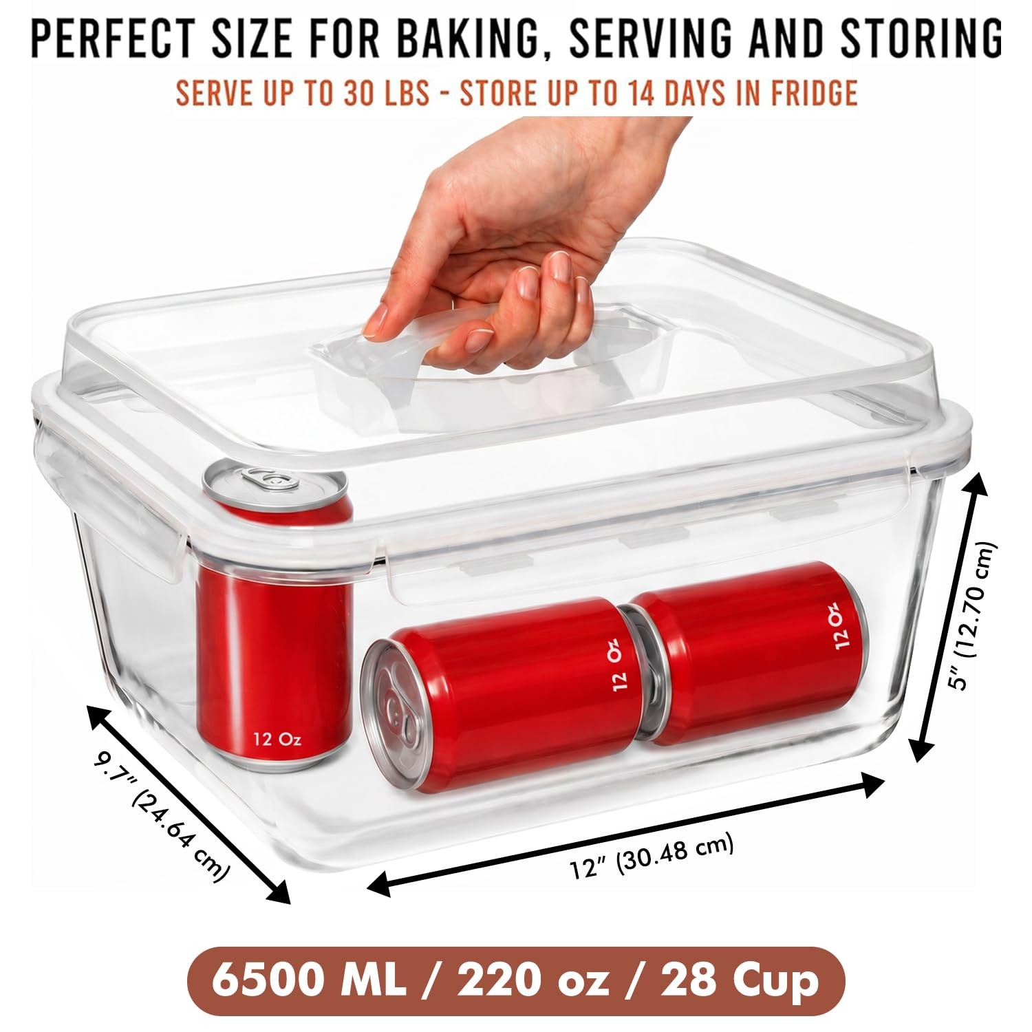 6500 ML / 220 oz / 28 Cup LARGE Glass Food Storage Container with Airtight Lo…