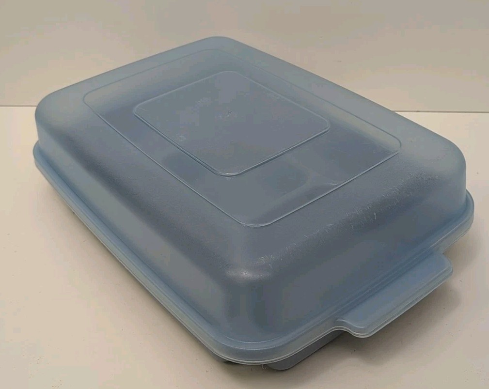 Vintage BLUE Rubbermaid Servin’ Saver Sectioned Fruit/Veggie Tray 0833 BLUE LID!