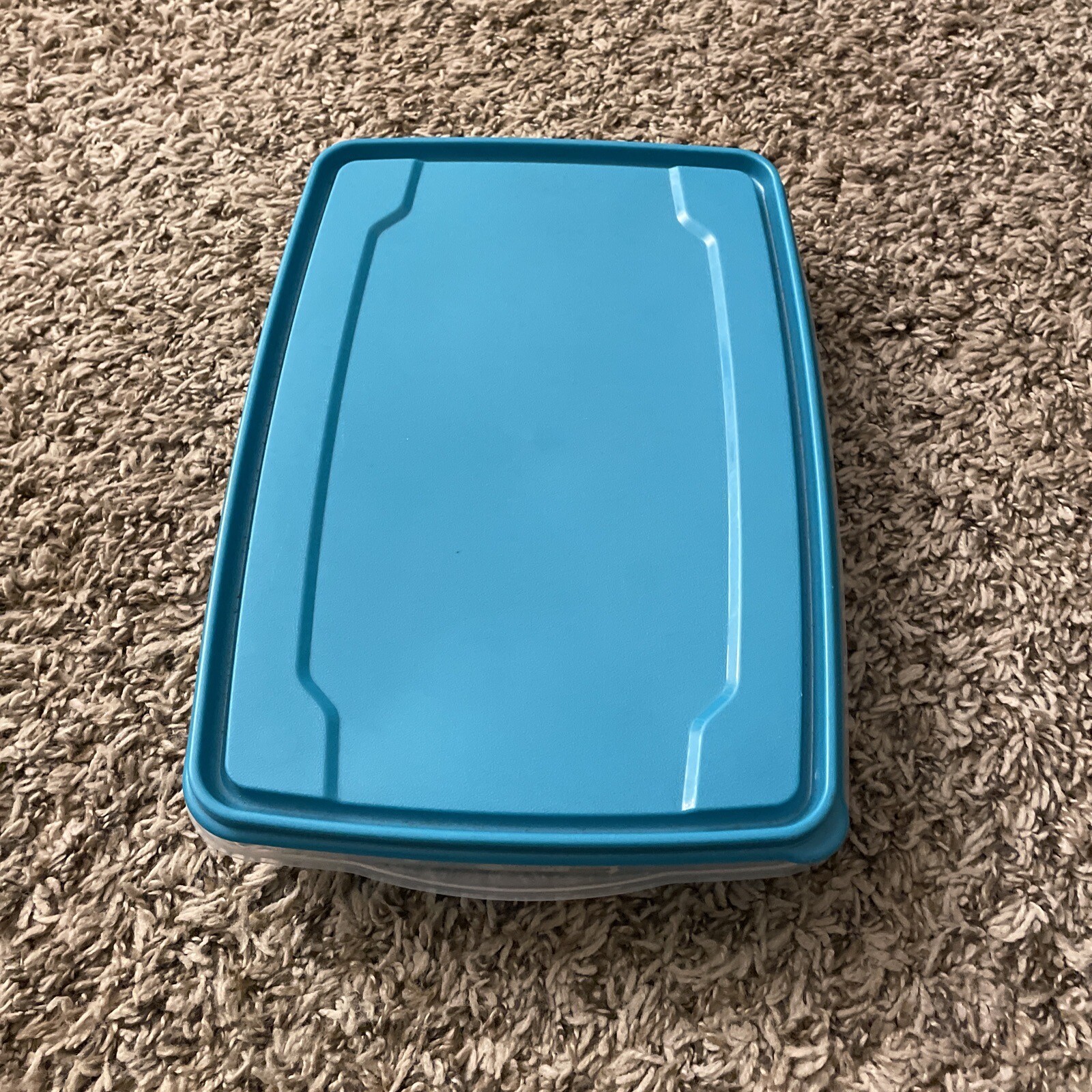 plastic egg container – Holds 20 Eggs
