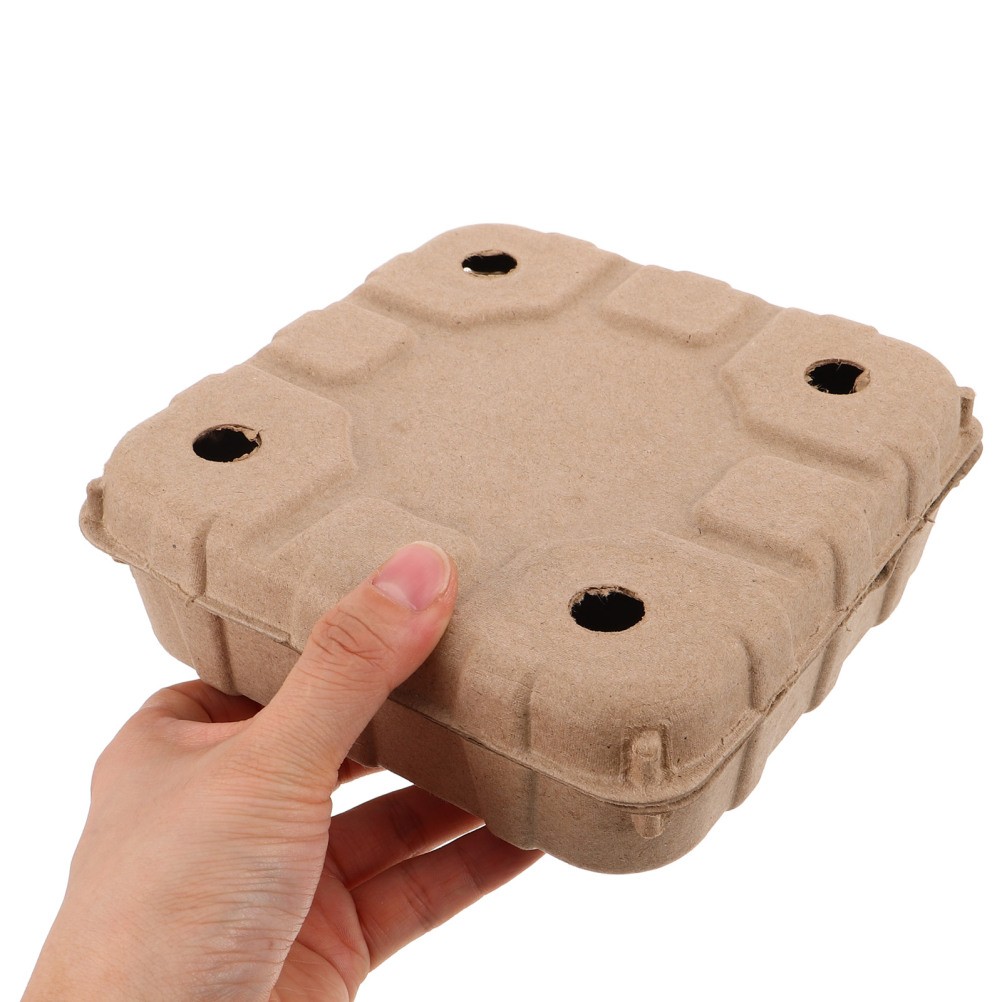 10 Pcs Biodegradable Strawberry Box Paper Cartons Blueberry Storage Basket