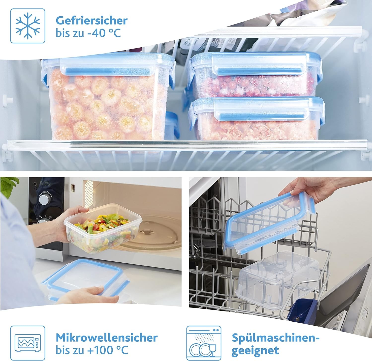 EMSA Food Container, 0.8 L Transparent 0.8 L 0.8 L