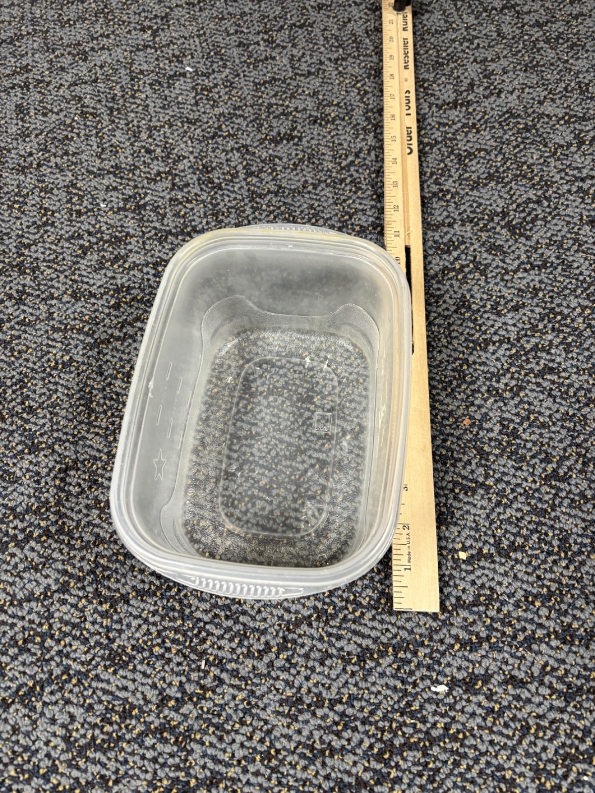 No-Lid Plastic Container