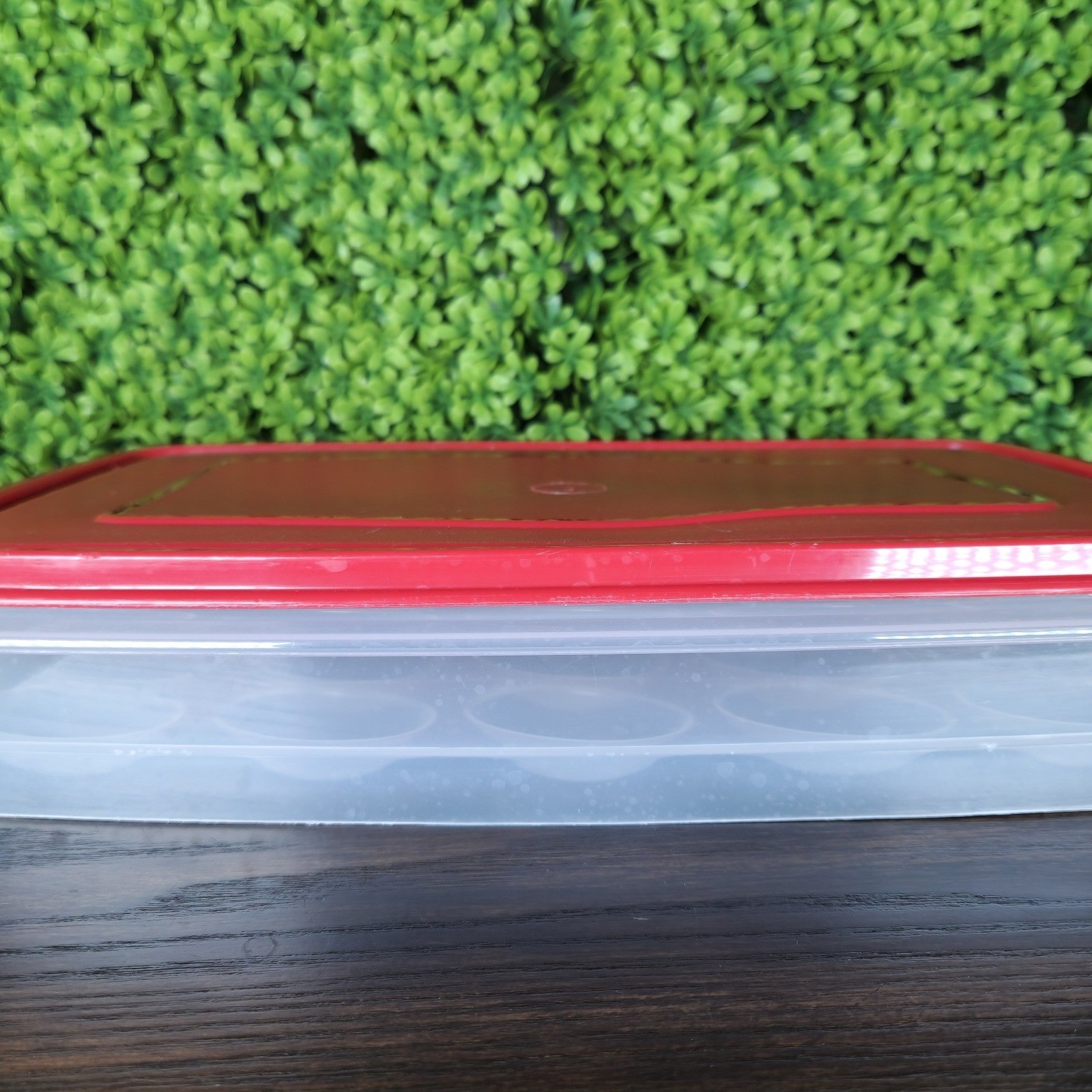 Rubbermaid Servin Saver Deviled Egg Keeper 20 Slot Red Lid Vintage 0070 FG Clear