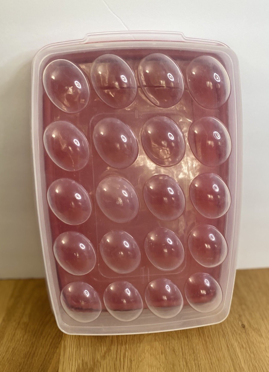 Rubbermaid Deviled Egg Container Holds 20 eggs