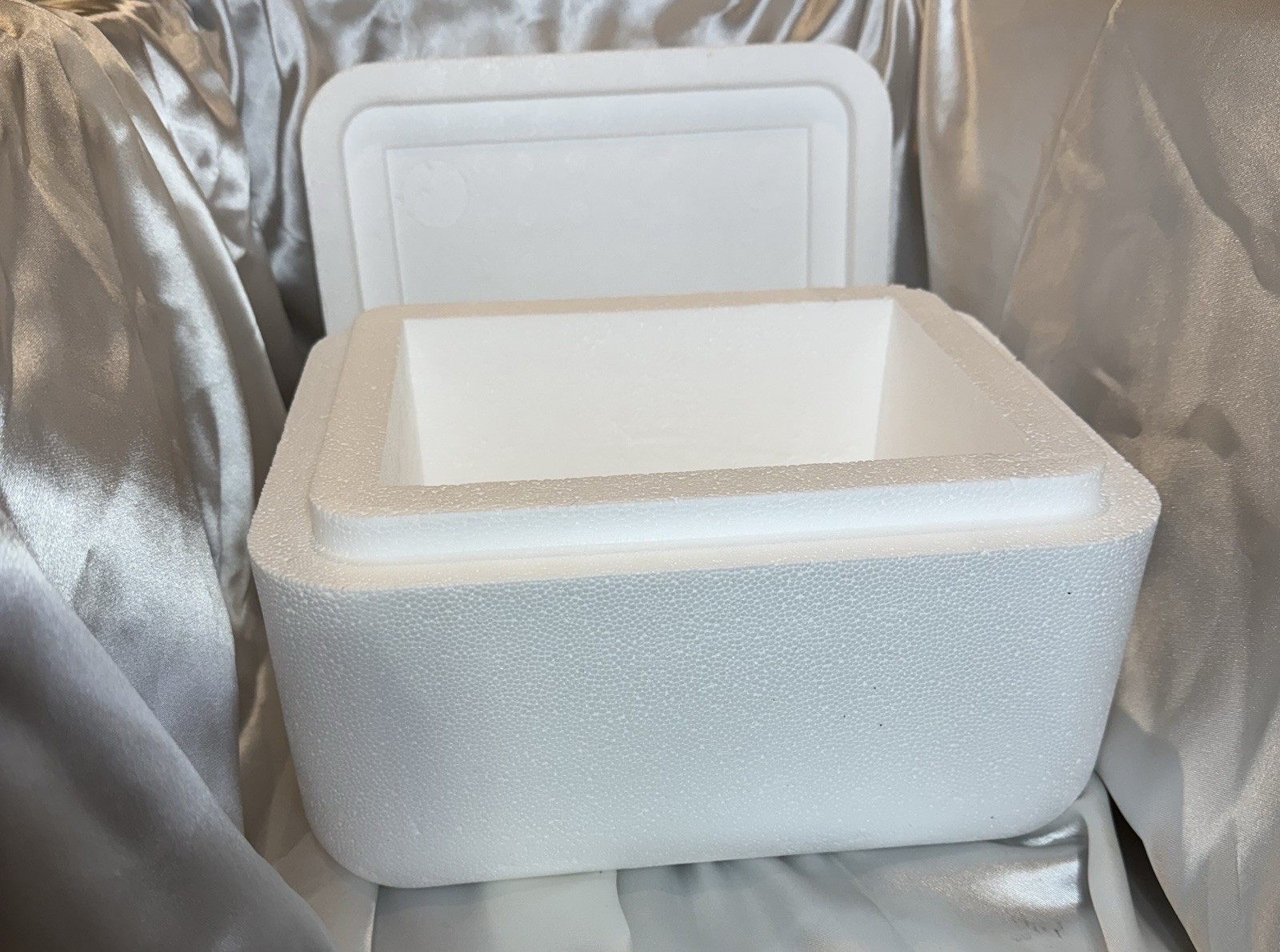Foam Cooler Container
