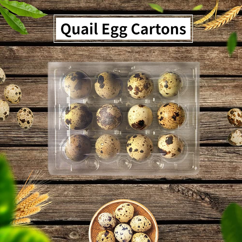 50 Pcs Quail Egg Cartons,12 Grids Small Egg Storage Holders,Quail Eggs Bulk Cart