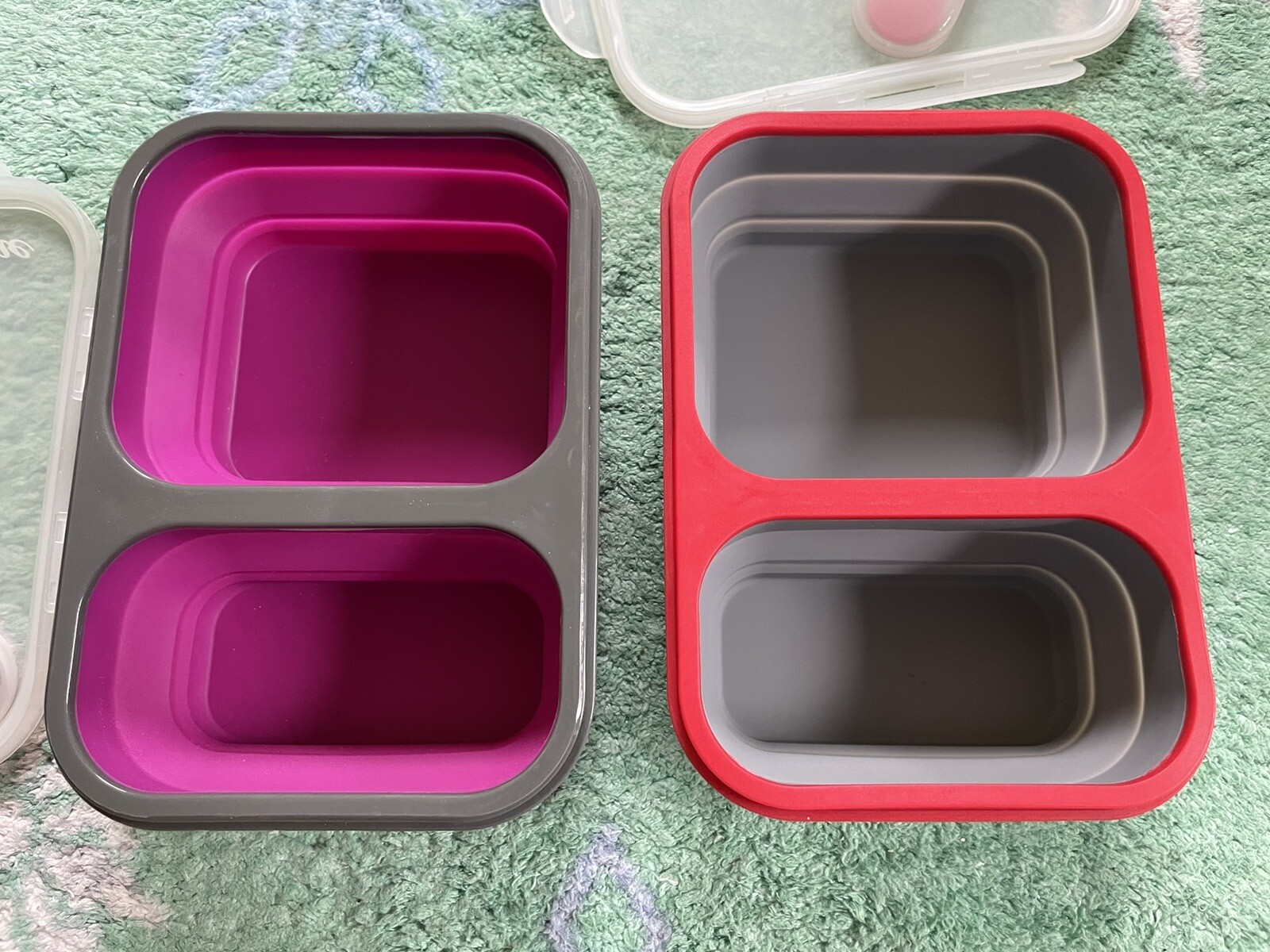 NEW Avalanche And Eco One Divided Collapsable Silicone Food Containers