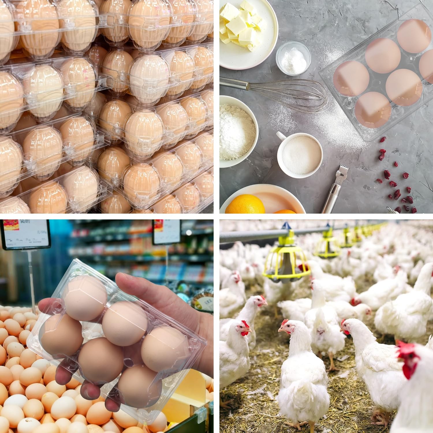150 Pack Half Dozen Egg Cartons Bulk 2×3 Clear Plastic Chicken Holders Tray