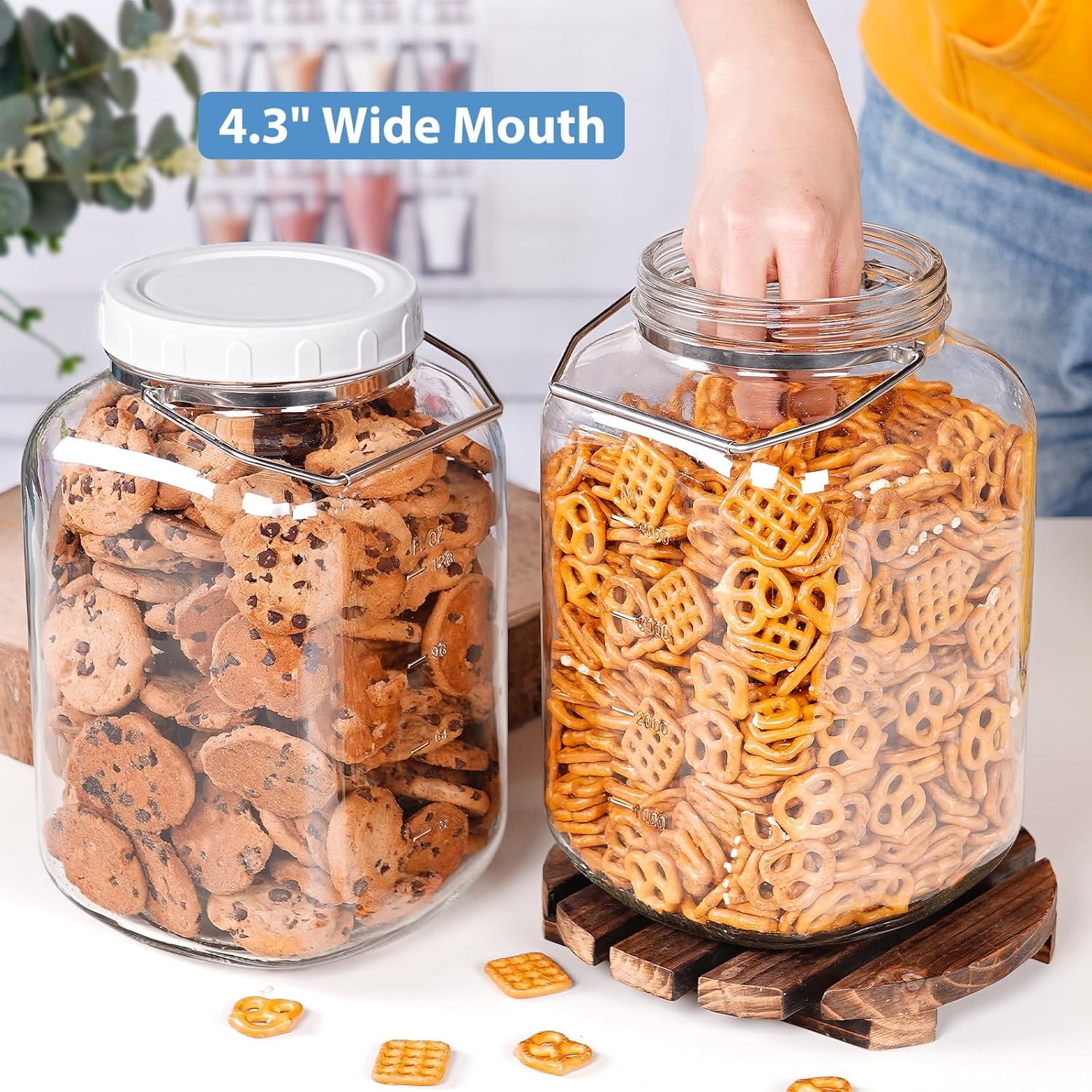 1.5 Gallon Glass Jar with airtight Lid, 2 Pack Wide Mouth Mason Jars with Sturdy