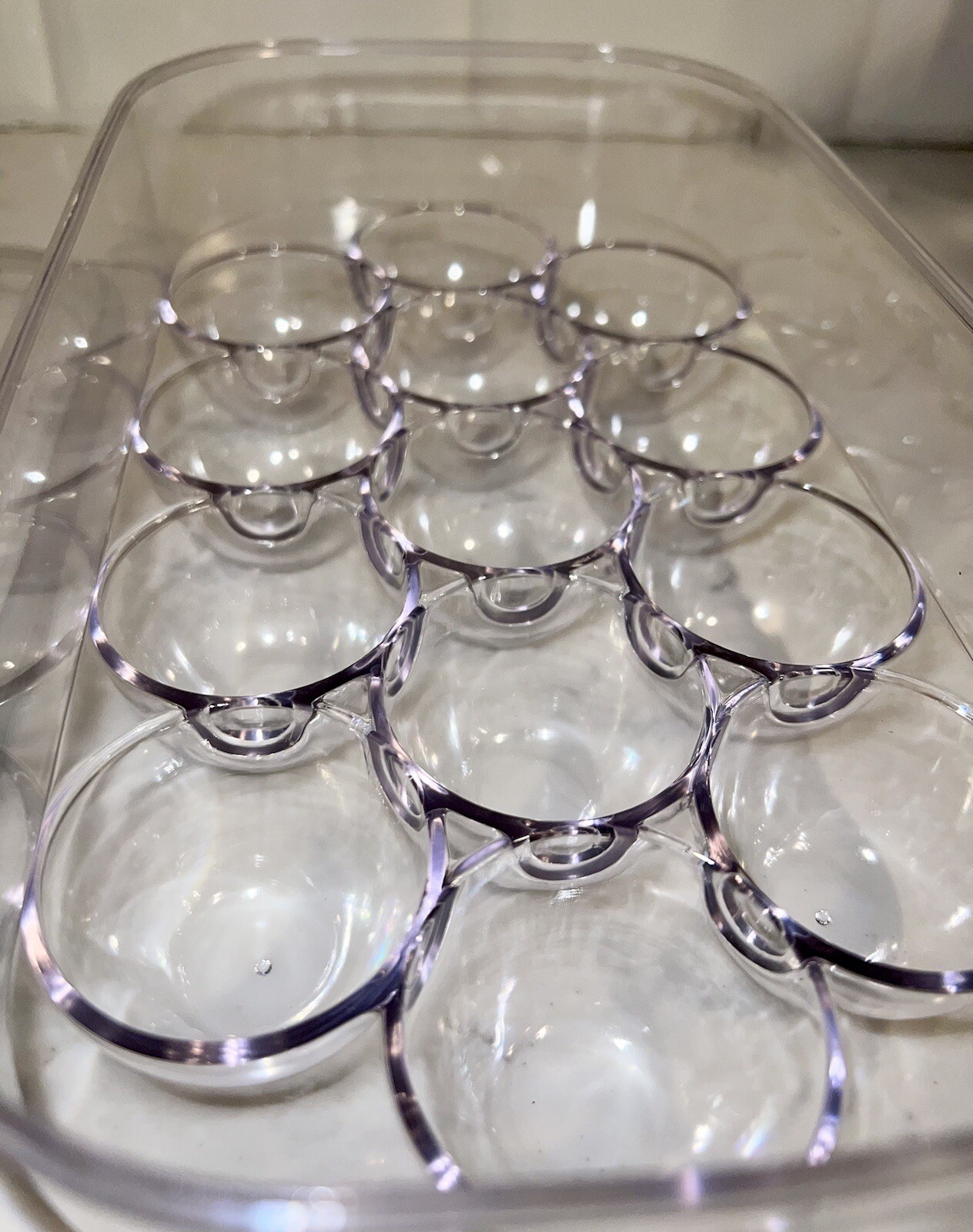 BINO 13 Egg Holder Container Removeable Lid The Nester Collection NEW