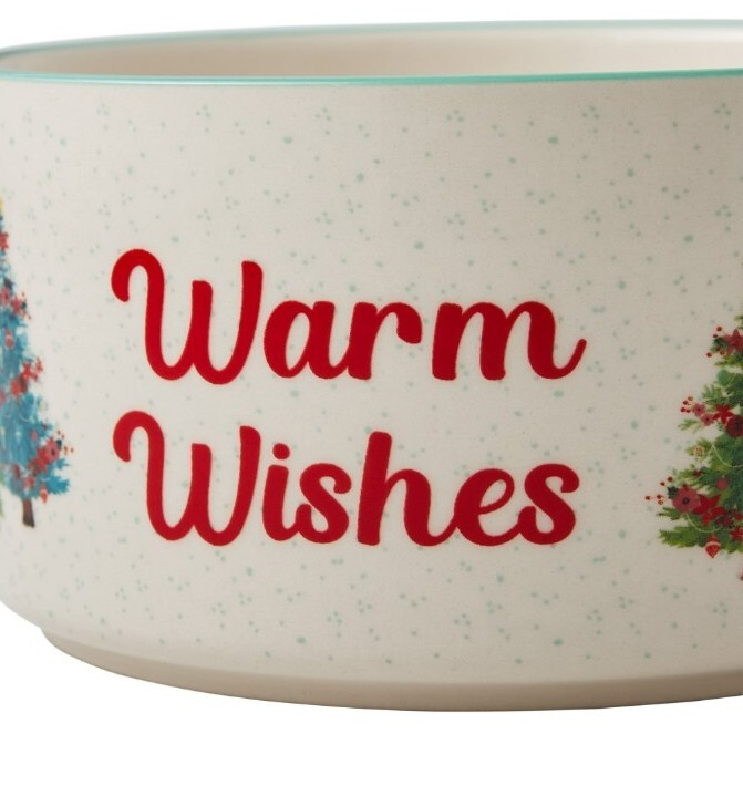 Pioneer Woman ~ Wishful Winter ~ Stoneware ~ 5.9″ Food Storage Container w/Lid