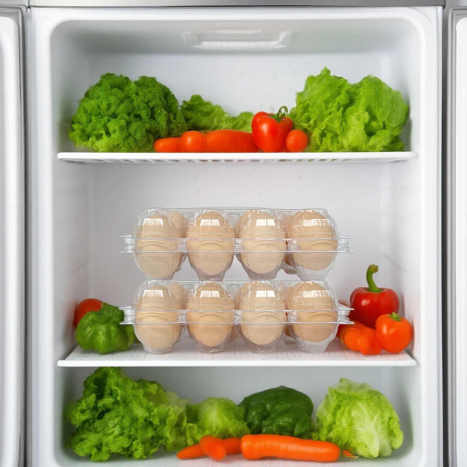 50-Pack of 12-Count Plastic Egg Cartons – Bulk Clear Reusable Egg Containers Hol