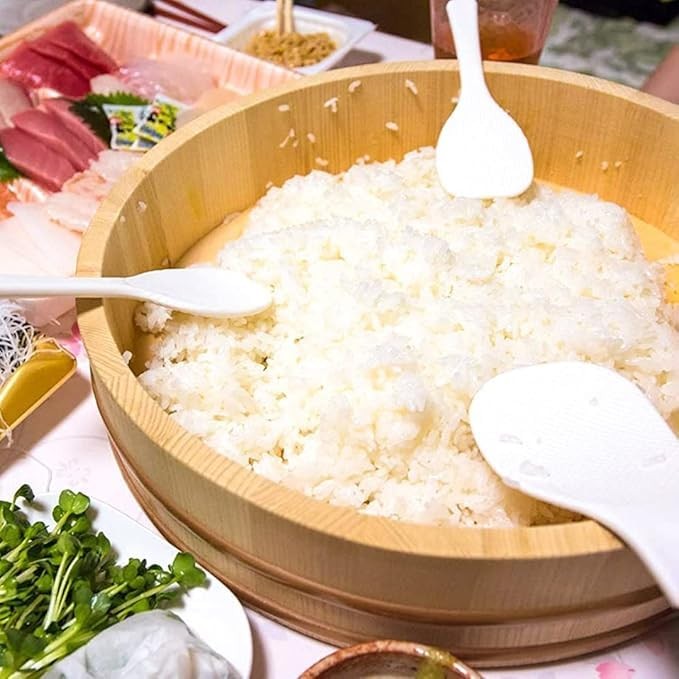 TIKUSAN Wooden Hangiri Sushi Rice Mixing Tub PP Band with Lid Made in Japan M…