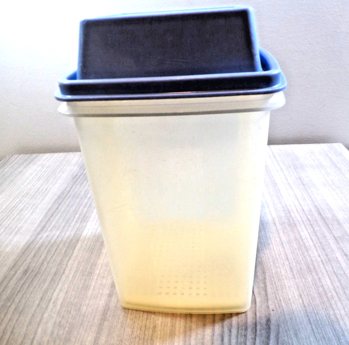 Vintage Tupperware Pickle Keeper Clear Blue Lid Strainer 1560-2