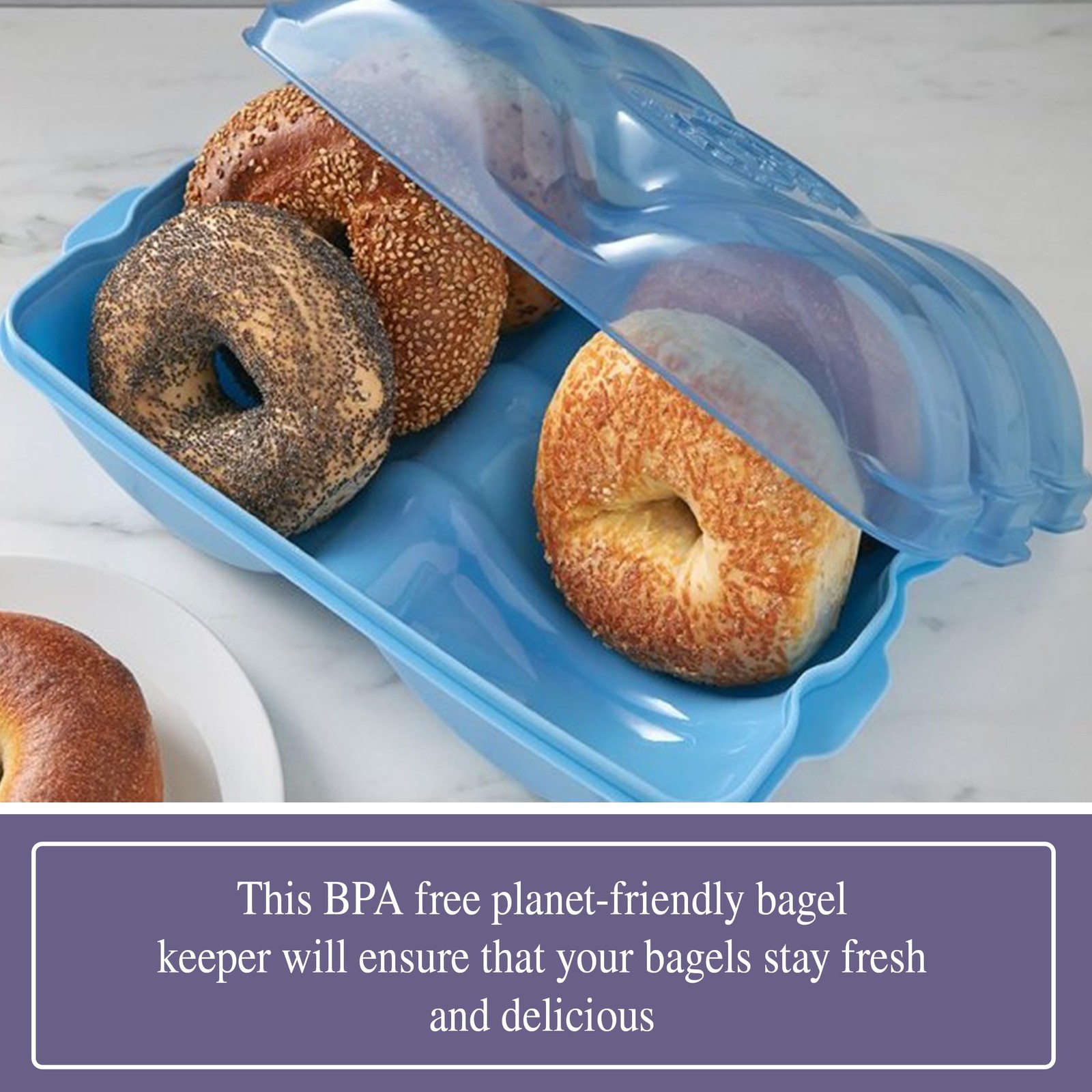 Touch Up Cup Bagel Fresh Holder Container Bread Storage 13×5 inches, Blue