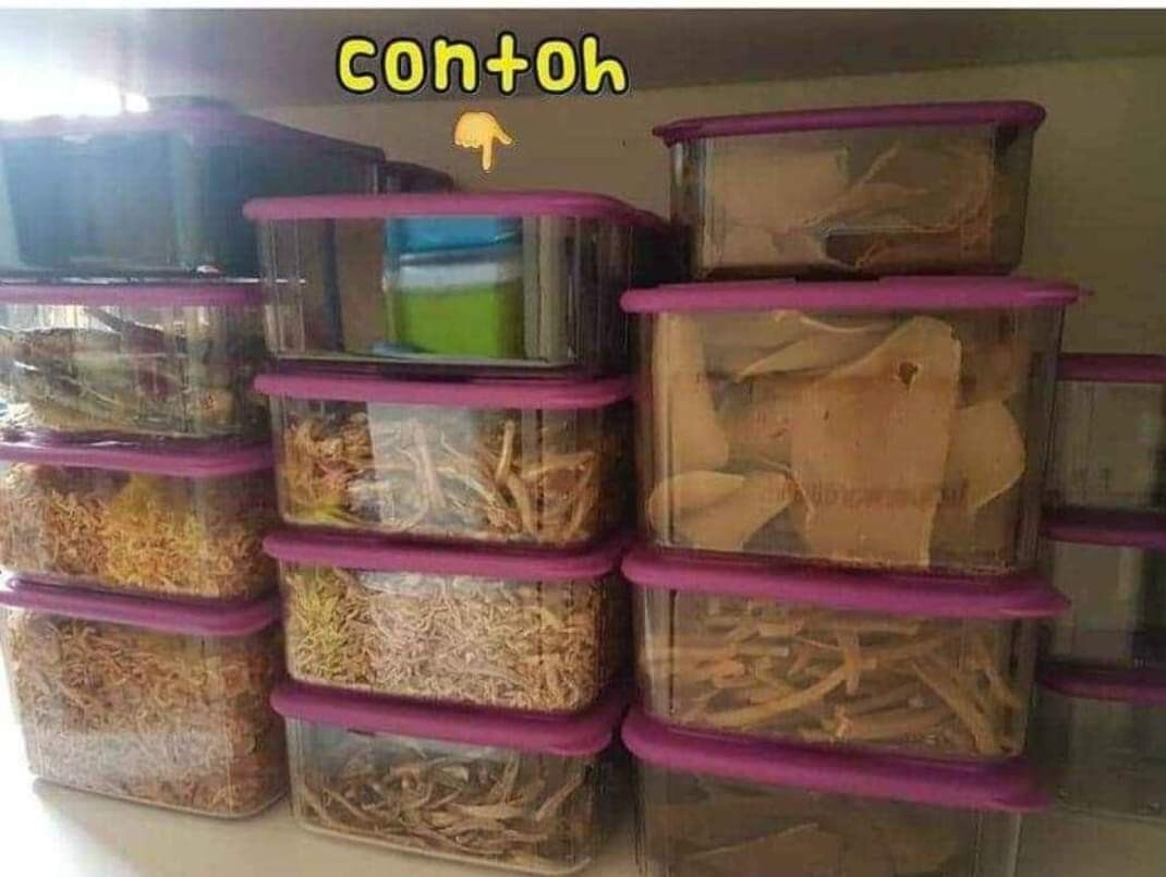 5PC Tupperware Purple Fresh n’ Clear Clearmate Food Containers Set