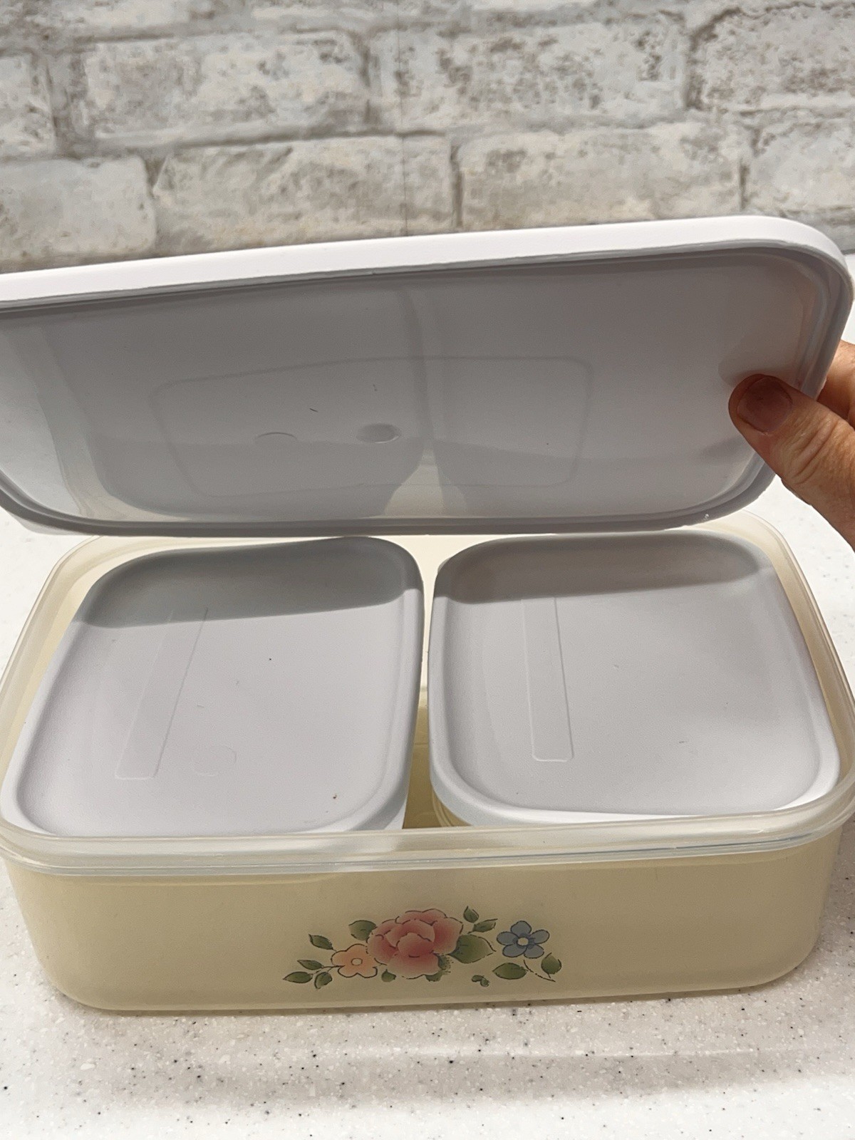 Rare Pfaltzgraff Tea Rose Plastic Storage Container Set Kitchen Organizers