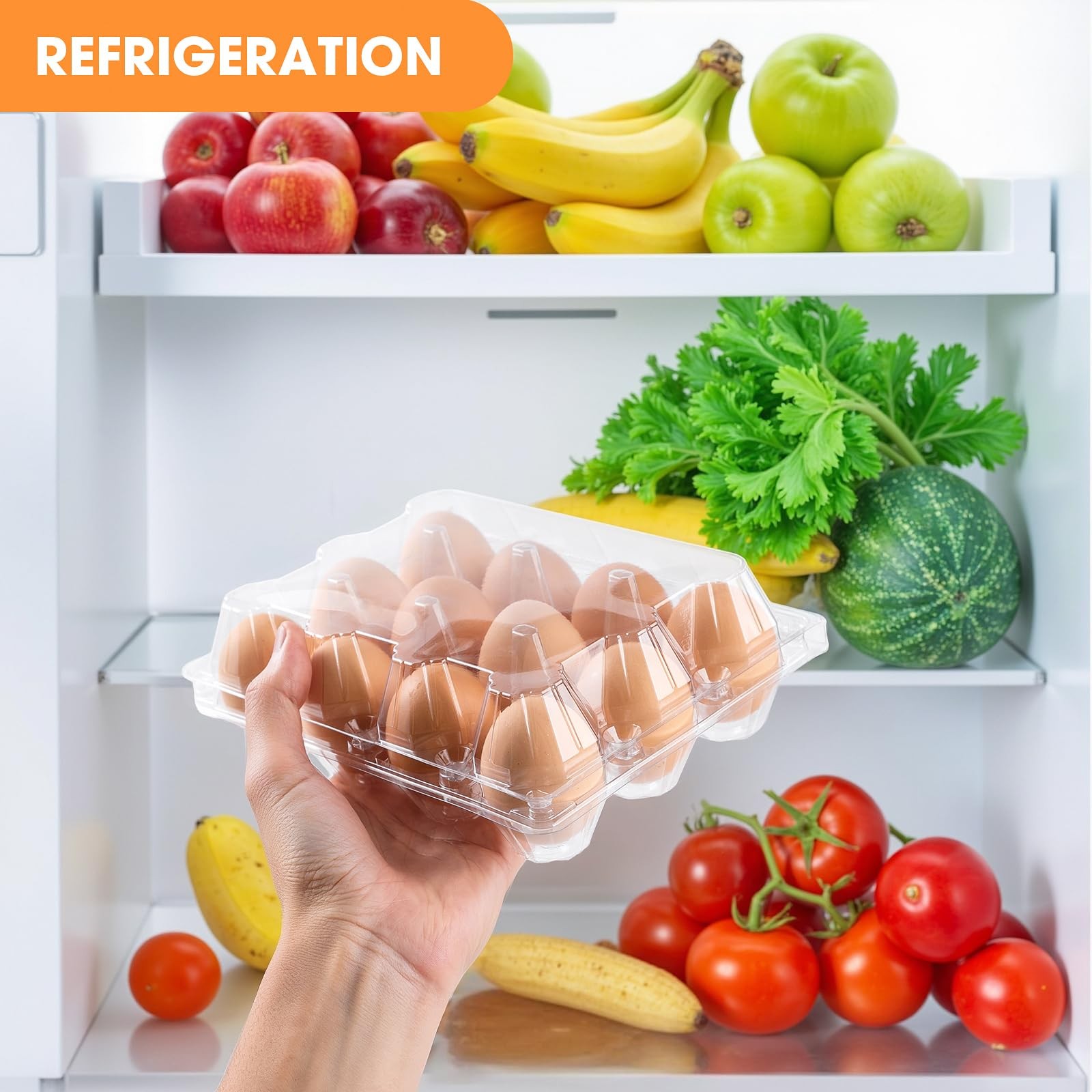 100 Pack Plastic Egg Cartons Cheap Bulk,1 Dozen Clear Empty Egg Containers fo…