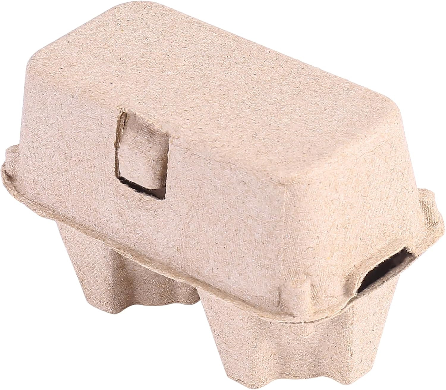 100 Pack Egg Cartons Bulk Pulp, 2 Cell Containers Vintage Easter Style, 1/6 Doze