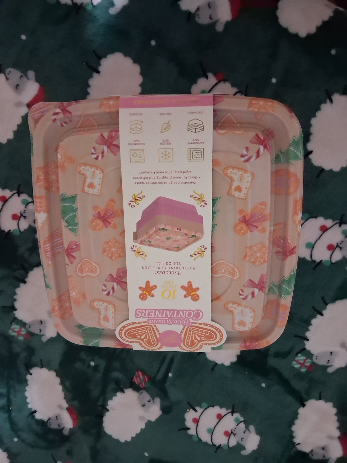 New CORE Christmas FOOD containers-10 Pieces/ Gingerbread And More