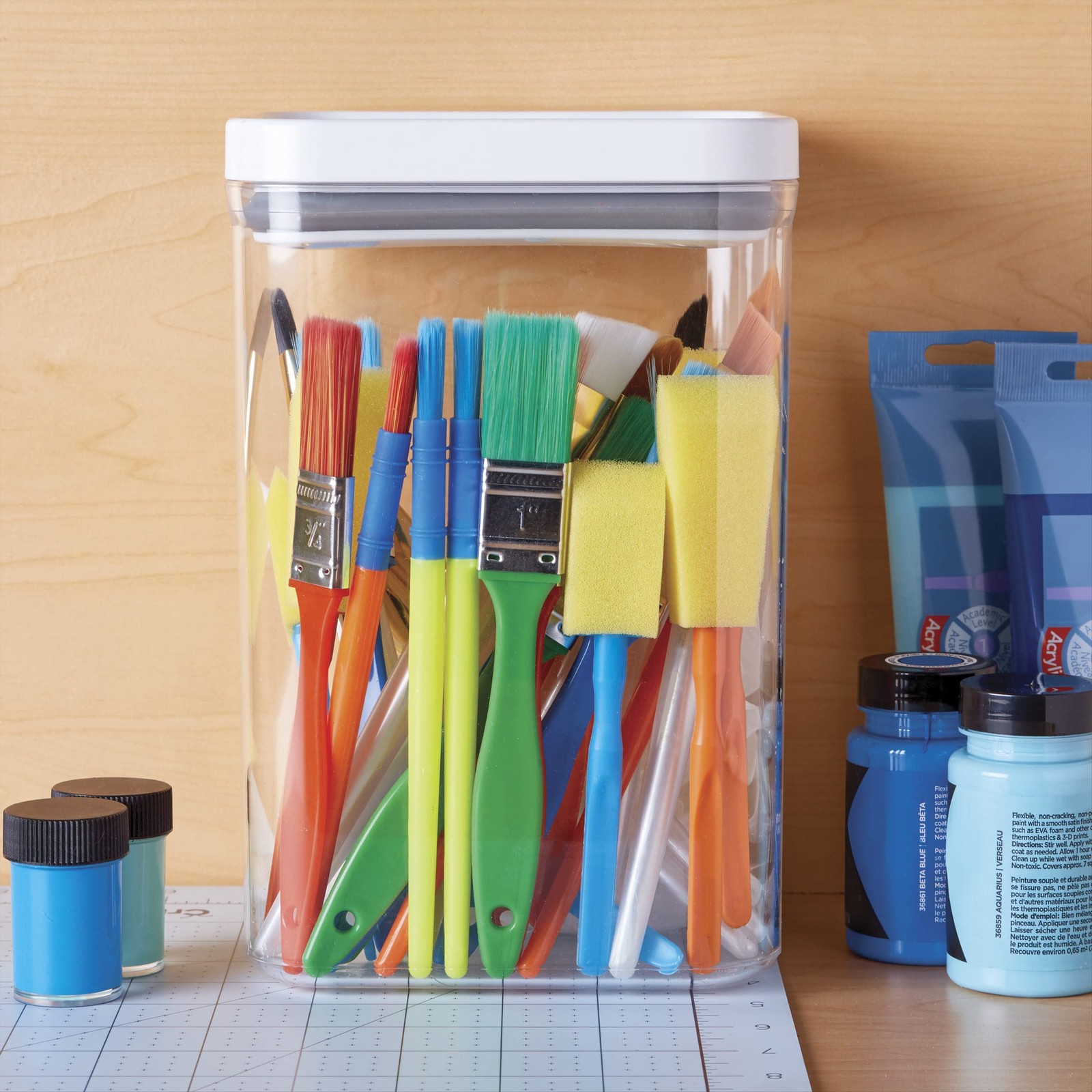 Food and Organization Storage Container with Airtight Lid, 4.43-Quart, Clear