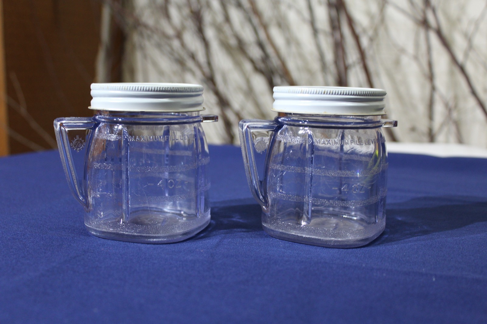 Oster Mini Blend Plastic Container with Lid – Set of 2