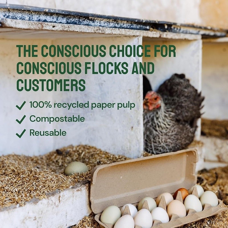48 Pack Biodegradable Egg Cartons Storage Transport Kitchen Farmers Market New
