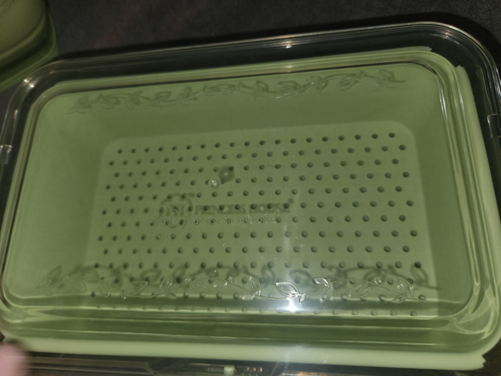 Princess House 6 Qt Fresh Healthy Produce Keeper Storage Container #4582