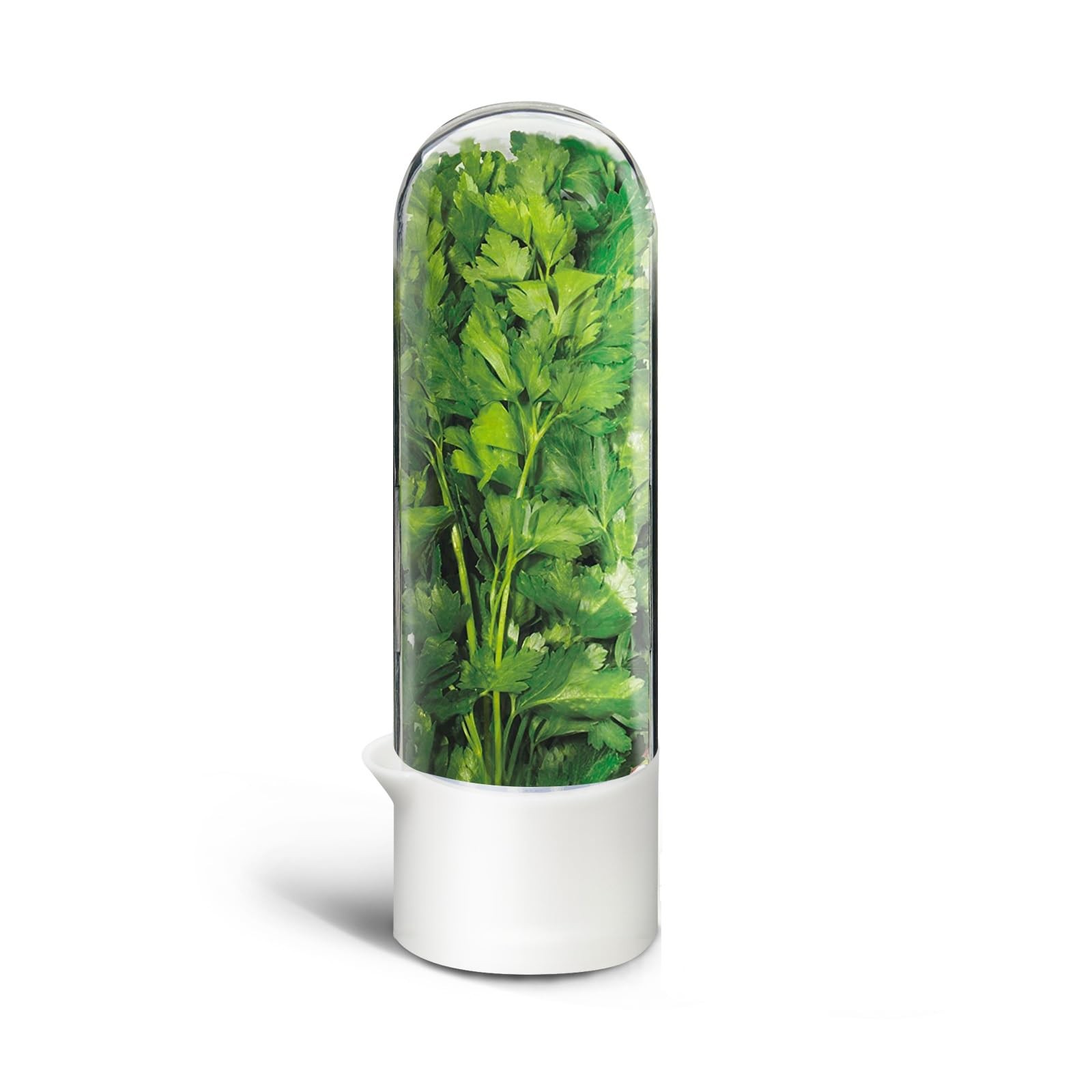 Refrigerator Herb Keeper, Preserve Cilantro Mint Parsley, 1PCS, Clear