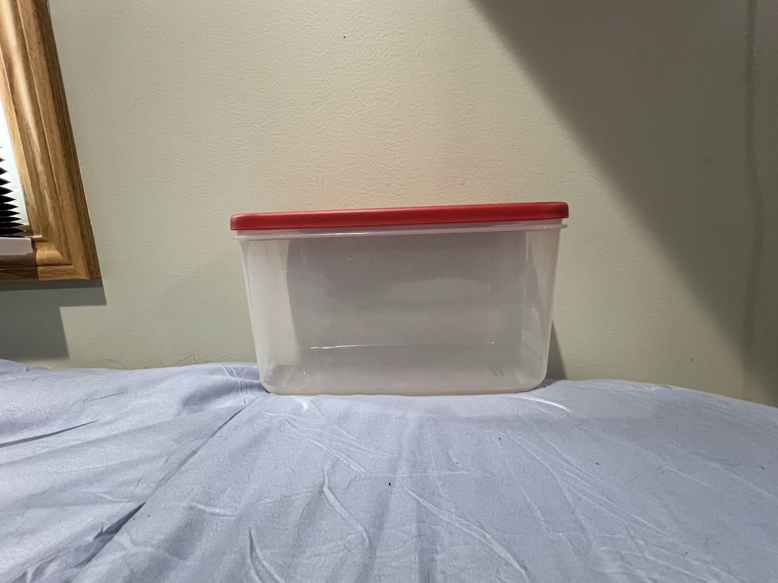 Rubbermaid 10.9 Cup/2.5L Container With Red Lid Made In USA