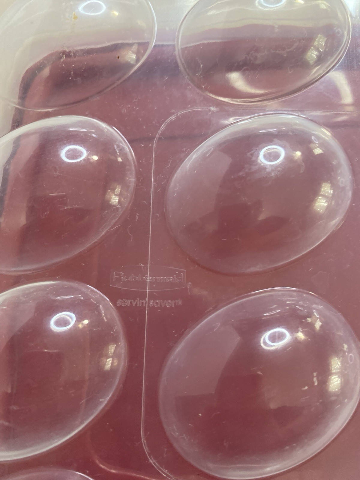 Rubbermaid Deviled Egg Container Holds 20 eggs
