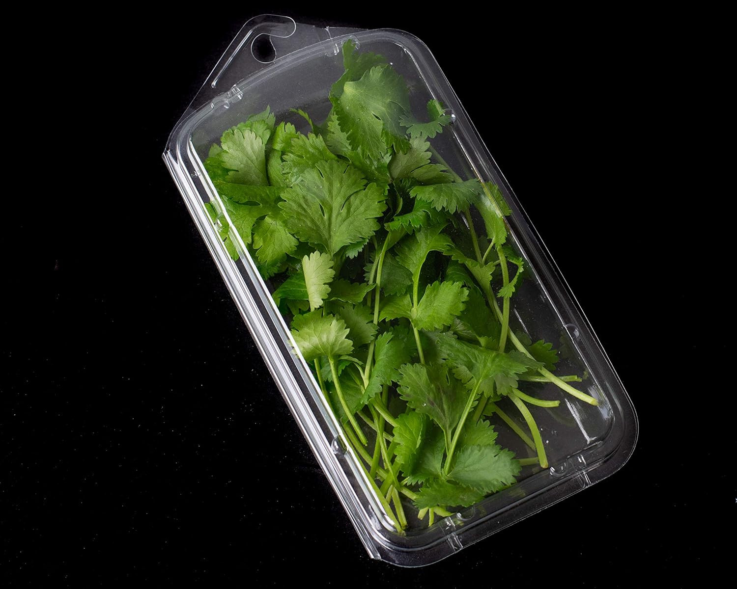 2 Ounce Large Herb Clamshell Container – Disposable – Pack of 20