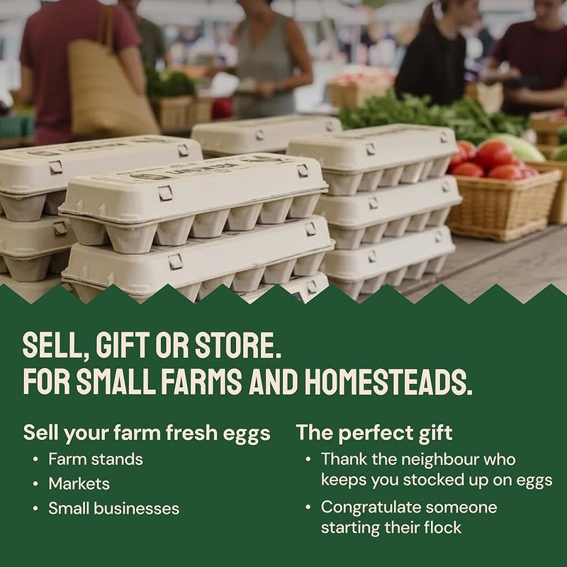 48 Pack Biodegradable Egg Cartons Storage Transport Kitchen Farmers Market New