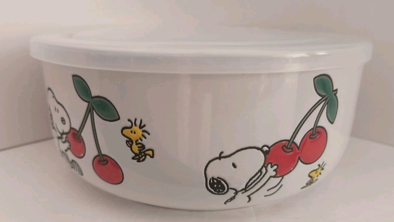 Peanuts SNOOPY & WOODSTOCK CHERRIES Pressure Lid Storage Container 40 oz. NEW!