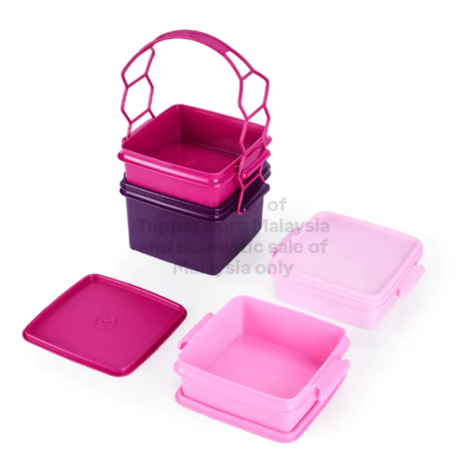 Tupperware Snack Set with Carrier | Portable Multi-Compartment Food Box
