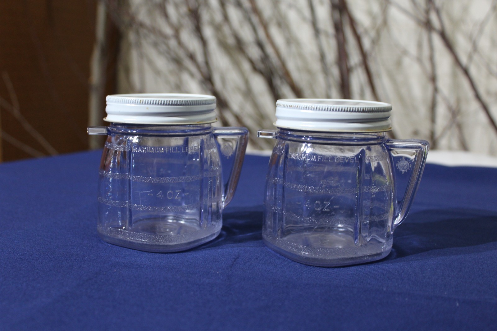 Oster Mini Blend Plastic Container with Lid – Set of 2