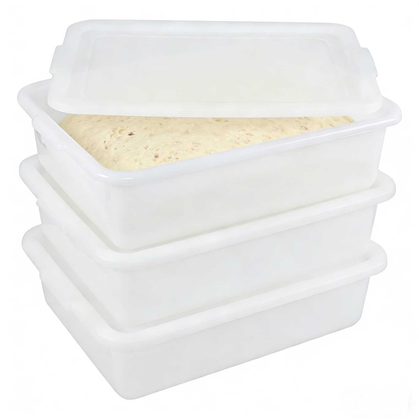 Pizza Dough Proofing , 17 x 12.6-Inch, Preparation Container with Lid, Househ…