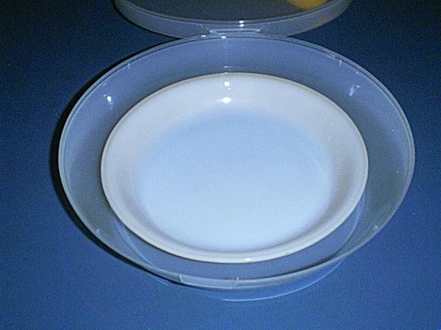 TRENDTEX Pie/Cake Keeper & FIRE KING “Peach Lustre” Glass 9″ Pie Plate Dish #460
