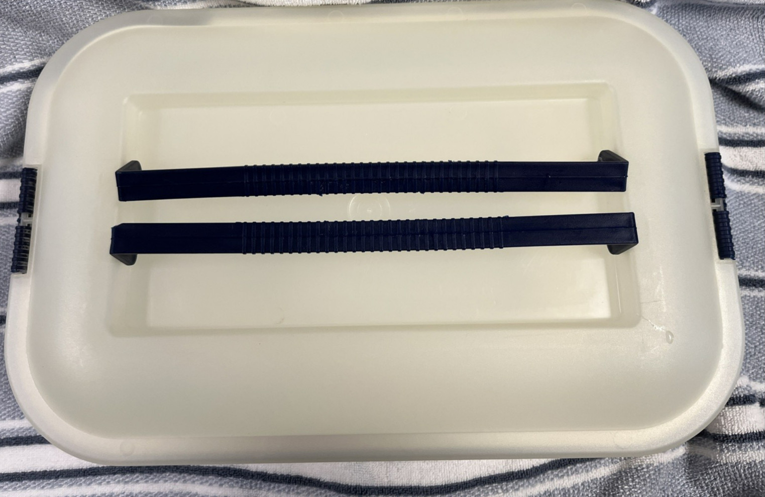 (2) Pre-owned Design Iris Schwartz 16″ X 10″ X 3.5″ Plastic Container W Handles