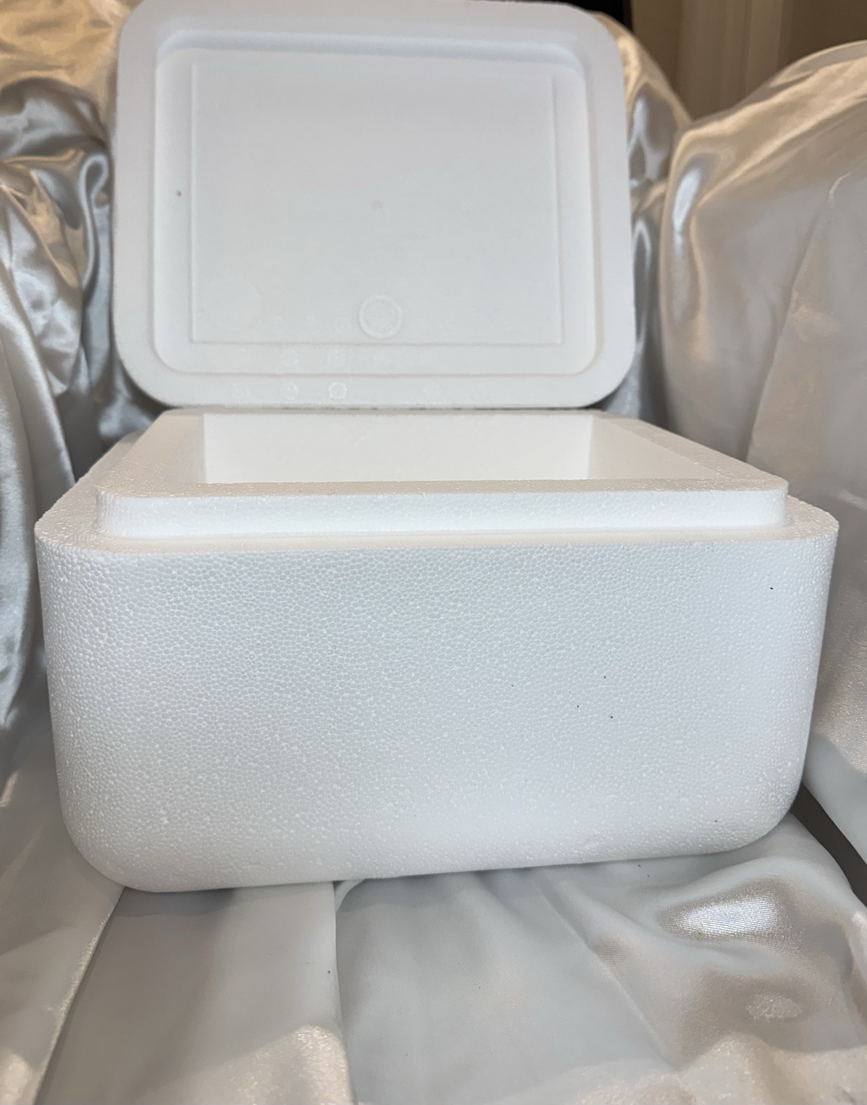 Foam Cooler Container