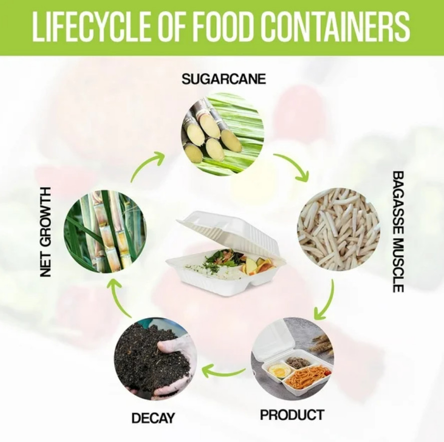 UEG CLUB Premium 9.25×6.5×2.5 Disposable To Go Containers – Food Takeout Boxes