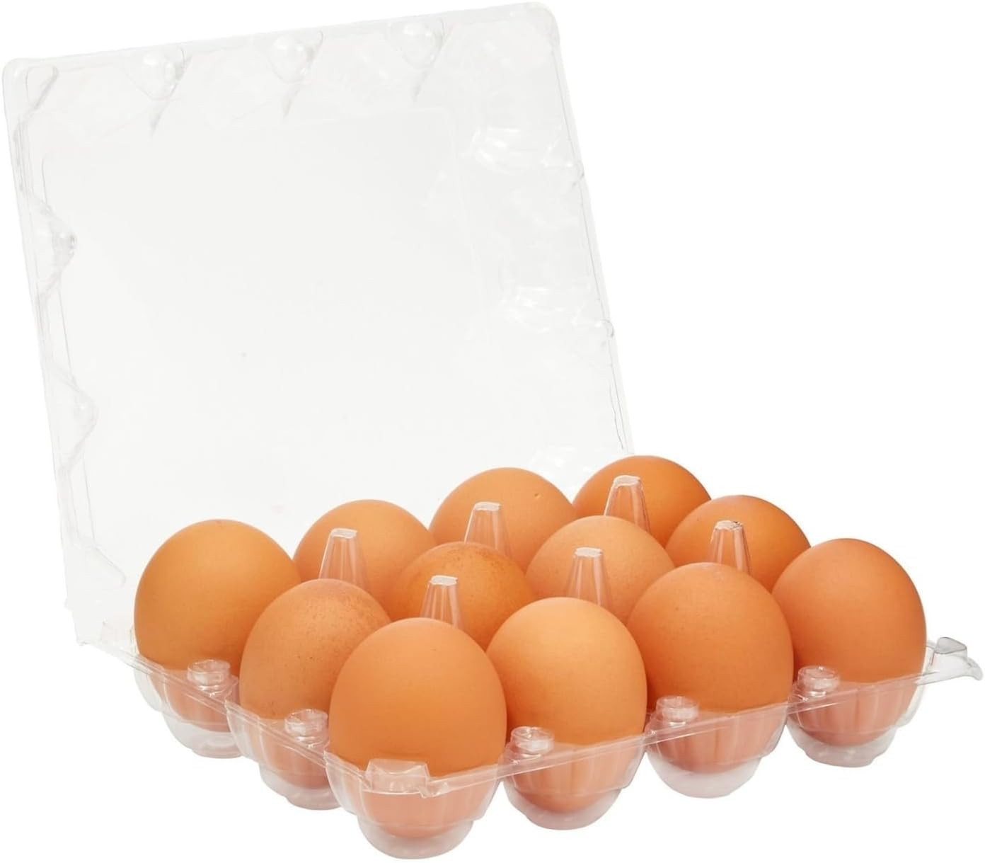 Stockroom plus Clear Plastic Egg Cartons – Clear Containers with Date Labels – B