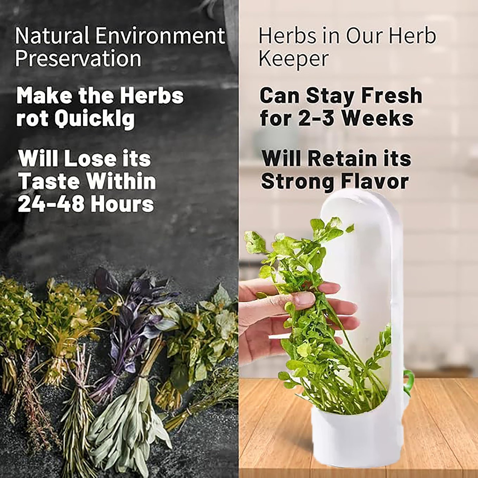 Ristpal 3Pack Herb Saver for Refrigerator for Cilantro, Parsley, Asparagus, M…