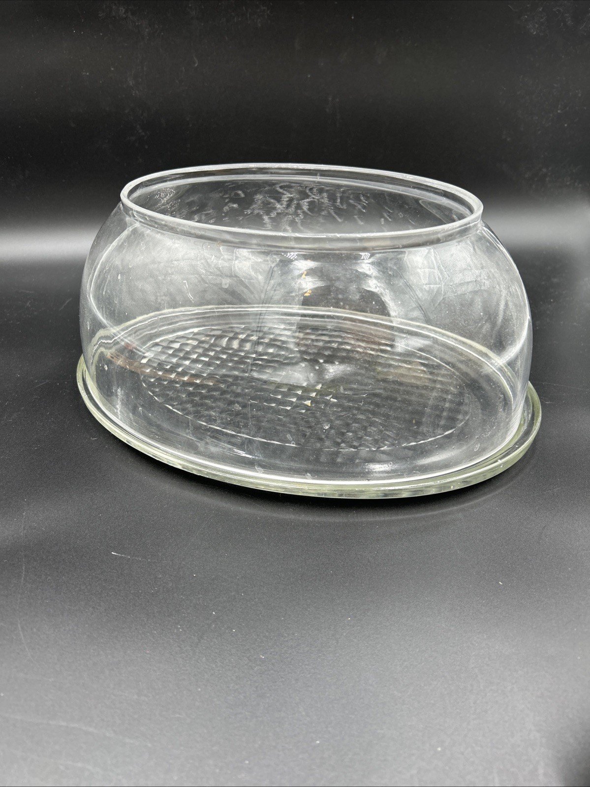 VeggiDome Fruit&Veggie Biodome Glass Counter Produce Saver Storage -missing Lid