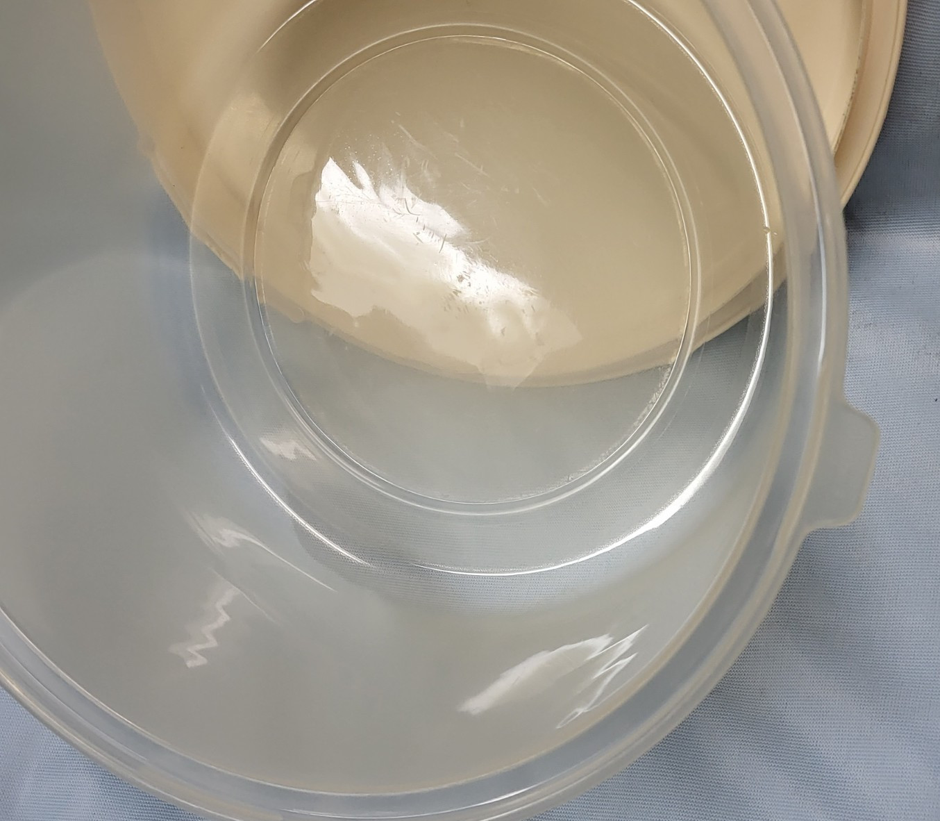 VTG 11.5″ Round Large Rubbermaid Servin’ Saver Cake Keeper Container Almond