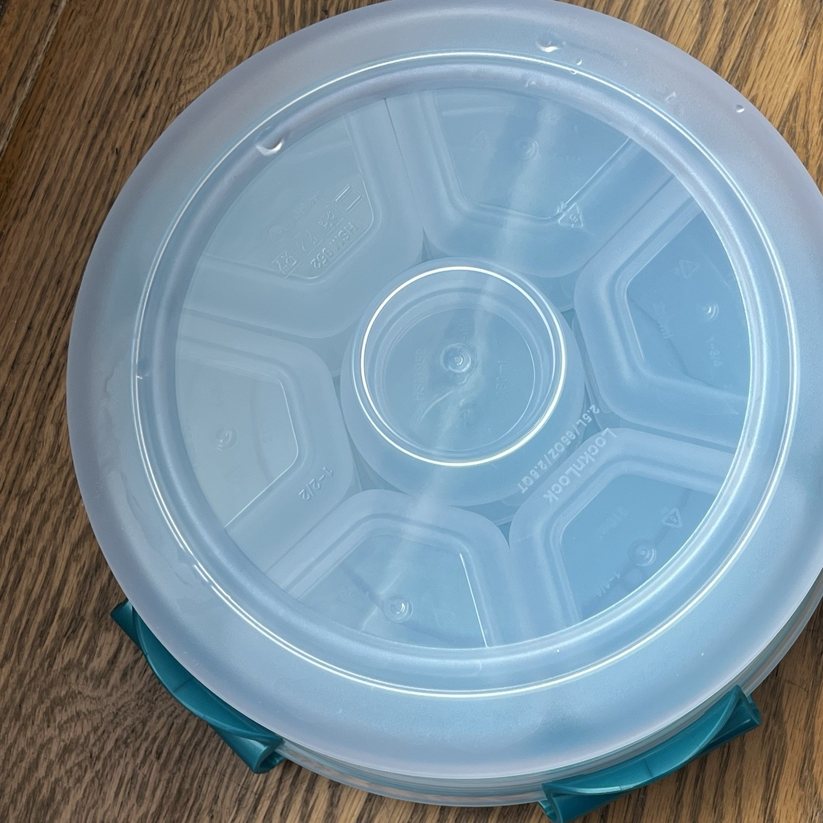 Lock N Lock Teal Divided Container Fruit & Veggie Condiment Food Storage