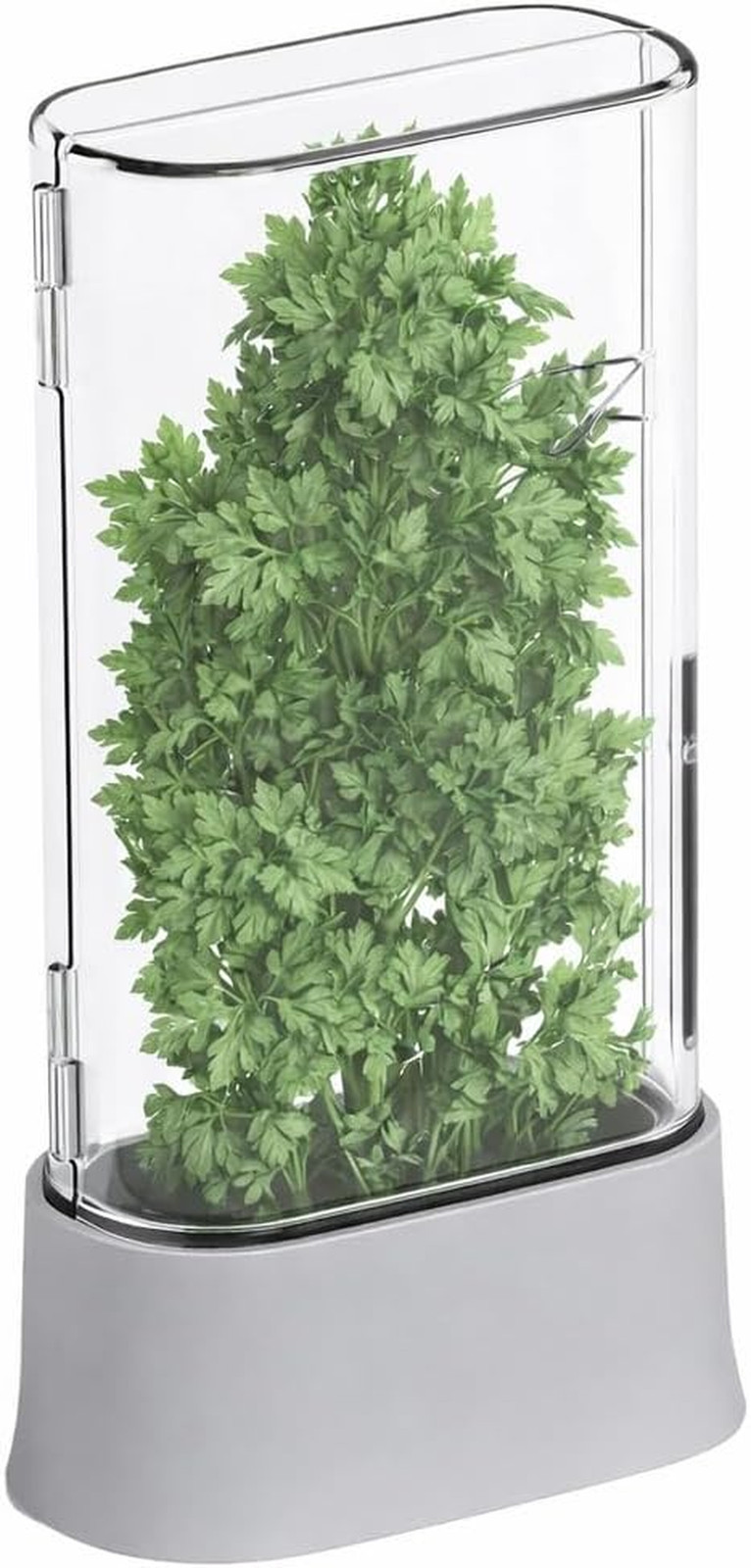 Herb Keeper for Refrigerator, Fresh Herb Saver Herb Storage Containers, Cilantro