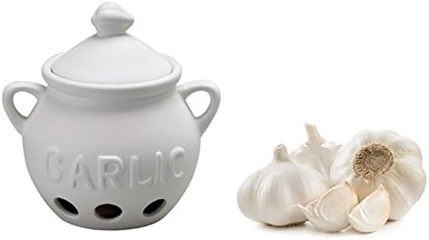 Fantes Garlic Keeper, Unglazed Ceramic, the Italian Market Original since 1906